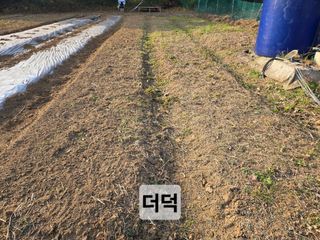 들꽃농장님의 자유주제 · 자유게시판 작성글 사진