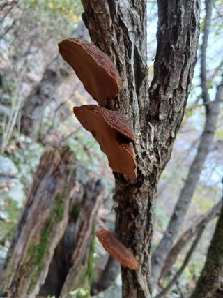 사노라면님의 자유주제 · 자유게시판 작성글 사진