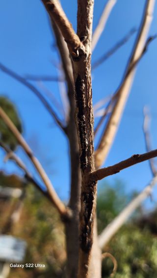 장영수님의 자유주제 · 자유게시판 작성글 사진