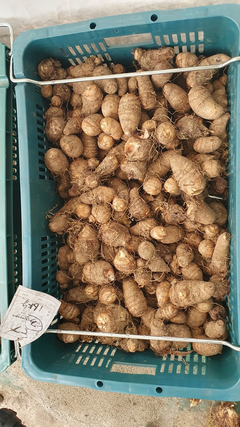 장계령님의 장터 판매 상품 [토란비료 없이 키운 자연 토란 (논산산) 1KG] 첨부 사진