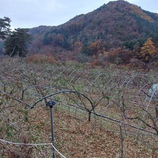 황덕순 님의 작성글 사진