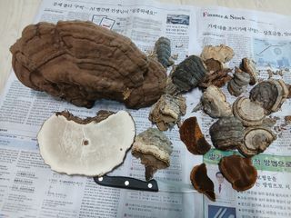 사노라면님의 자유주제 · 자유게시판 작성글 사진