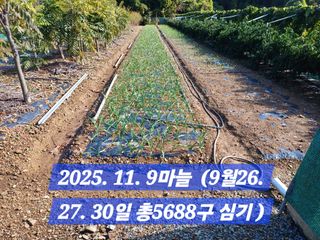 박성민님의 자유주제 · 자유게시판 작성글 사진