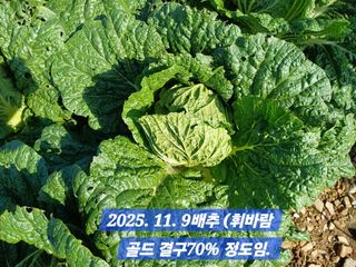 박성민님의 자유주제 · 자유게시판 작성글 사진