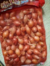 팜모닝 자유주제·사진전 게시글 이미지