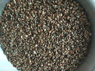 엄재식님의 자유주제 · 자유게시판 작성글 사진