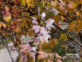 달맛햇복숭아농원님의 자유주제 · 사진전 작성글 사진