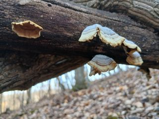 사노라면님의 자유주제 · 자유게시판 작성글 사진