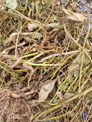 감20280님의 자유주제 · 사진전 작성글 사진