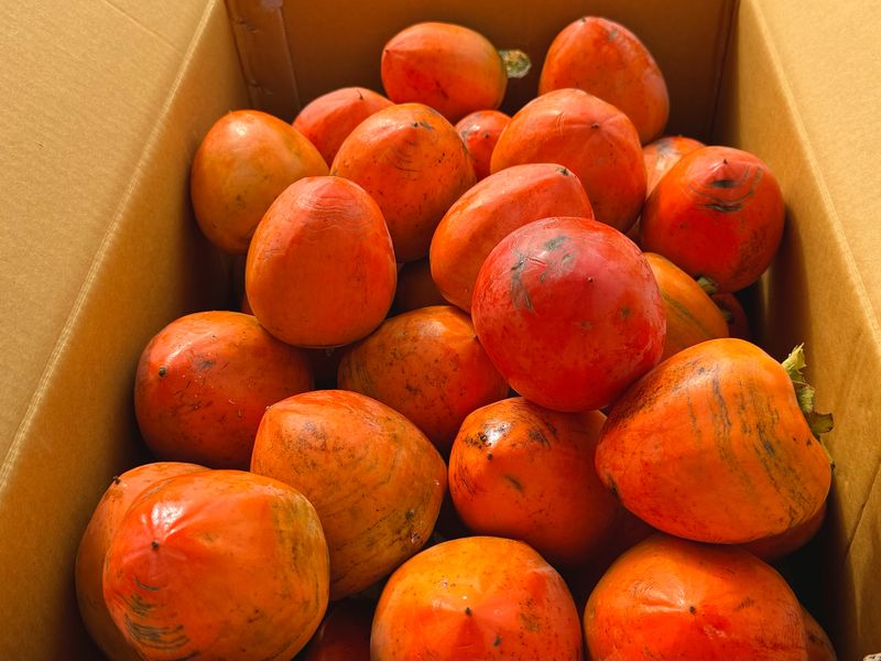 농부손녀님의 장터 판매 상품 [[특품] 꿀뚝뚝 대봉감 홍시 5kg 10kg 15kg] 첨부 사진