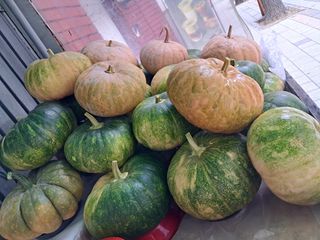 김기한님의 자유주제 · 자유게시판 작성글 사진