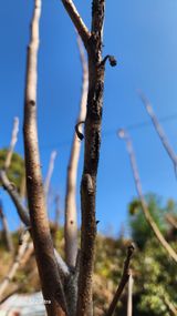 팜모닝 자유주제·자유게시판 게시글 이미지