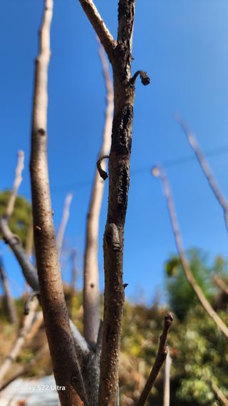 장영수님의 자유주제 · 자유게시판 작성글 사진