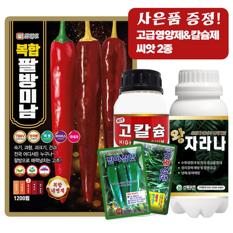 산들마켓,씨앗마켓님의 장터 판매 상품 [산들마켓 바른씨드 복합 팔방미남 고추씨앗 1200립 복합내병계 보통 매운맛 고추씨 종자 품종] 첨부 사진