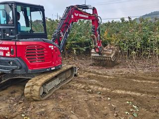 일심묘목농원님의 자유주제 · 자유게시판 작성글 사진