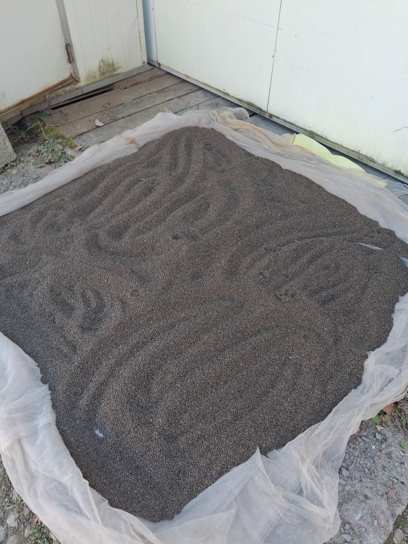 강정순님의 장터 판매 상품 [들깨 6k] 첨부 사진