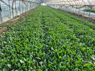 박정규님의 자유주제 · 자유게시판 작성글 사진