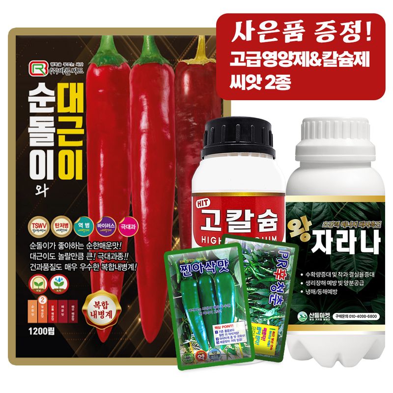 산들마켓,씨앗마켓님의 장터 판매 상품 [순돌이와 대근이 고추 씨앗 1200립 순한 매운맛 초극대과 고추씨 종자] 첨부 사진