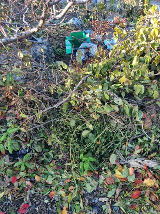 김용대님의 자유주제 · 자유게시판 작성글 사진