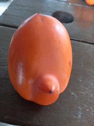 김낙교님의 자유주제 · 자유게시판 작성글 사진