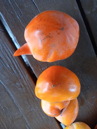 김낙교님의 자유주제 · 자유게시판 작성글 사진