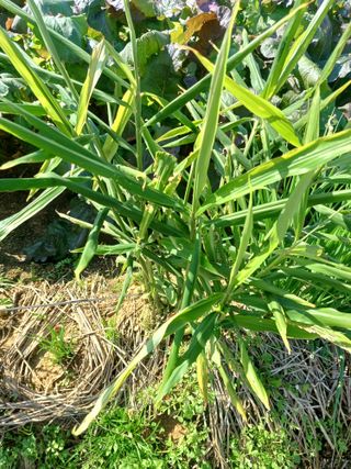 이정민님의 자유주제 · 자유게시판 작성글 사진