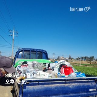 민들레님의 자유주제 · 자유게시판 작성글 사진