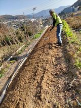 팜모닝 자유주제·자유게시판 게시글 이미지