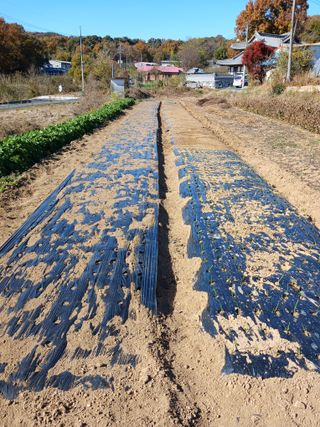 상원(尙沅)님의 자유주제 · 자유게시판 작성글 사진