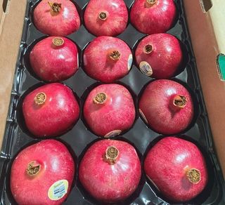 박진하님의 자유주제 · 자유게시판 작성글 사진