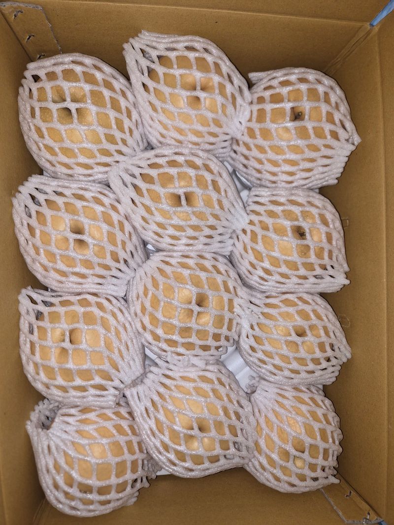 윤성한님의 장터 판매 상품 [[농장직판 특가 한정] 안동햇배(가정용,선물용) / 100%순수 배즙(전상품 택배비 포함)] 첨부 사진