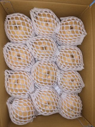 윤성한님의 작성글 사진