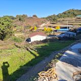 팜모닝 자유주제·자유게시판 게시글 이미지