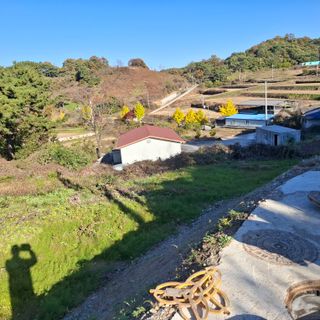 오영도님의 자유주제 · 자유게시판 작성글 사진