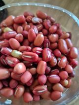 팜모닝 · 게시글 이미지