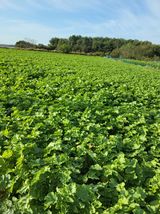 팜모닝 자유주제·자유게시판 게시글 이미지