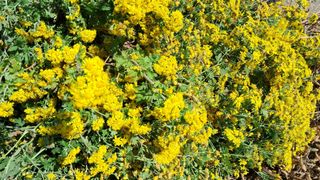 이정운님의 자유주제 · 자유게시판 작성글 사진