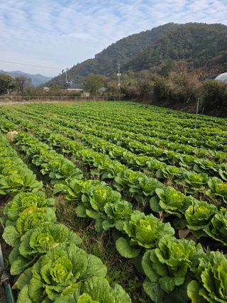 오태원님의 자유주제 · 자유게시판 작성글 사진
