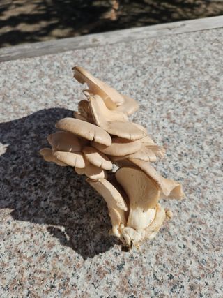 강물처럼님의 자유주제 · 자유게시판 작성글 사진