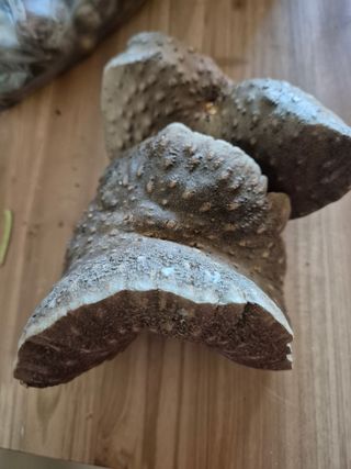 귤19190님의 작성글 사진