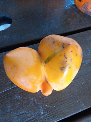 김낙교님의 자유주제 · 자유게시판 작성글 사진