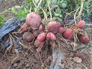 이정민님의 자유주제 · 자유게시판 작성글 사진