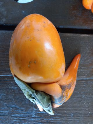 김낙교님의 자유주제 · 자유게시판 작성글 사진