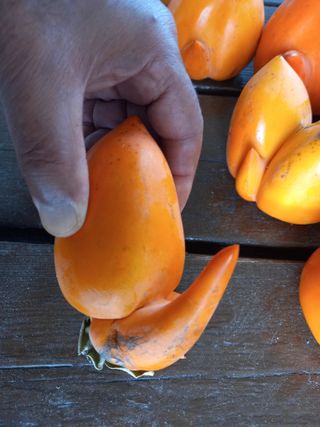 김낙교님의 자유주제 · 자유게시판 작성글 사진