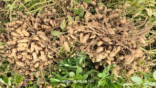 황규복(달구지)님의 작성글 사진