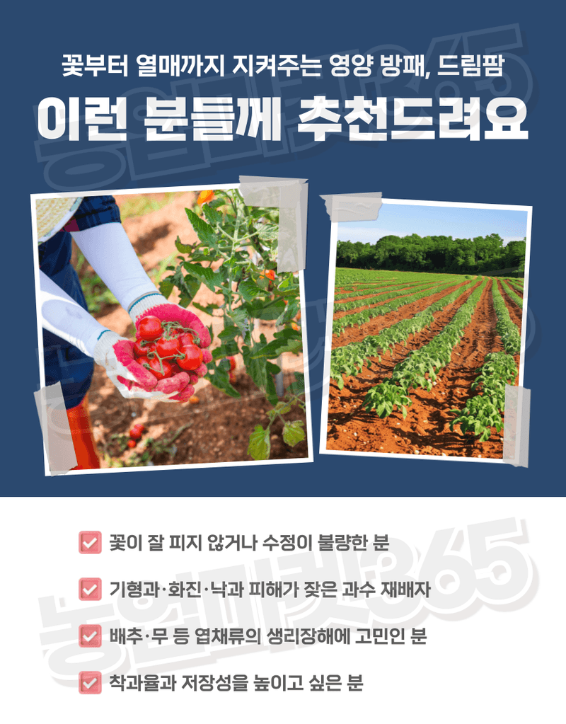 농업마켓365님의 장터 판매 상품 [대유 드림팜 500g 수용제 특수유기칼슘 고농도 붕소 복합영양제 – 착과율 증진 생리장해 예방] 첨부 사진