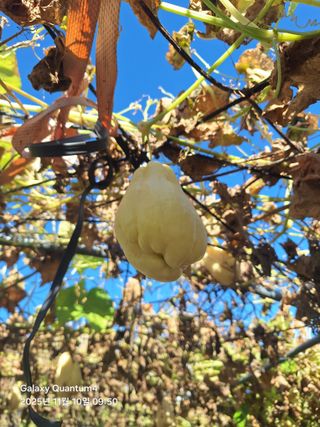 (복조리농장)김찬두님의 자유주제 · 자유게시판 작성글 사진