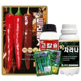 팜모닝 · 게시글 이미지