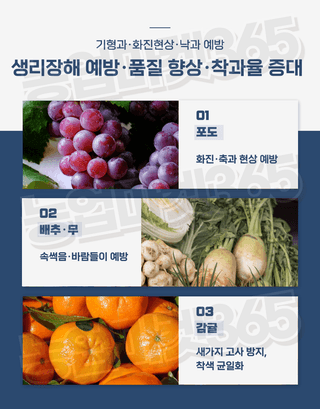 농업마켓365님의 작성글 사진