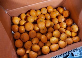 박진하님의 자유주제 · 자유게시판 작성글 사진